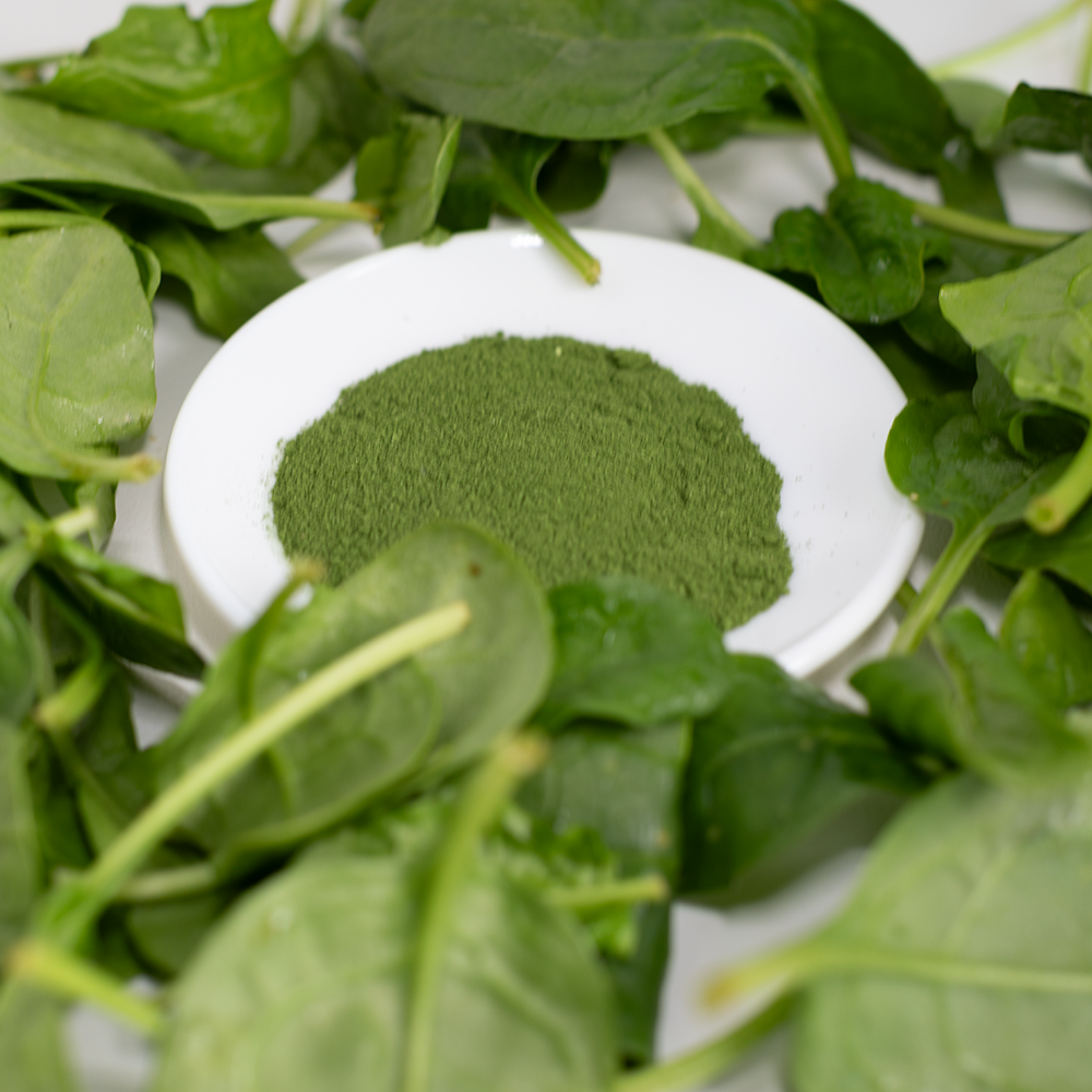 Dog meal topper spinach powder