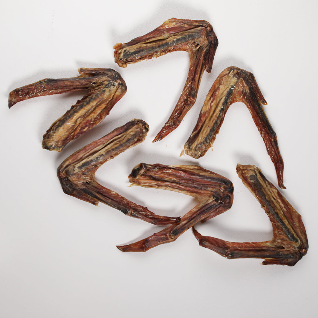 Duck wing for dogs
