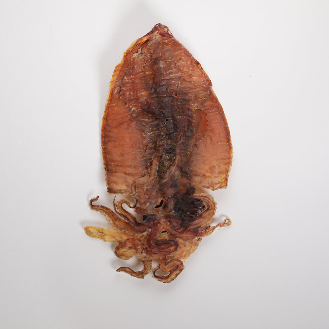 Large calamari for dogs