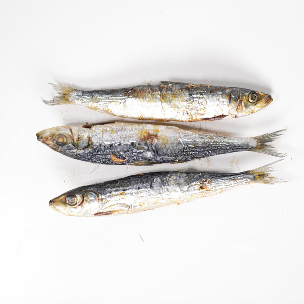Top view of Sardine dog treats