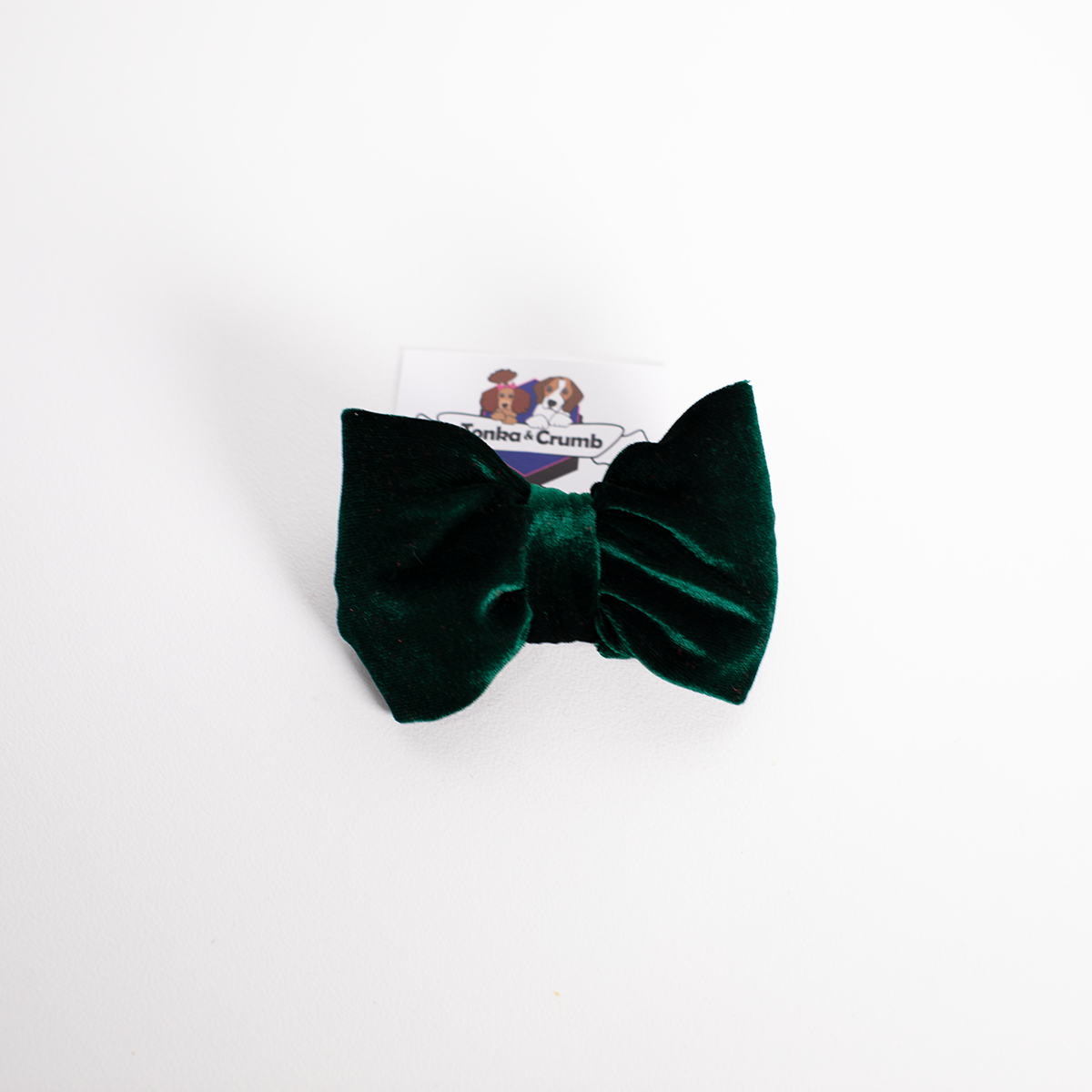Green velvet dog bowtie