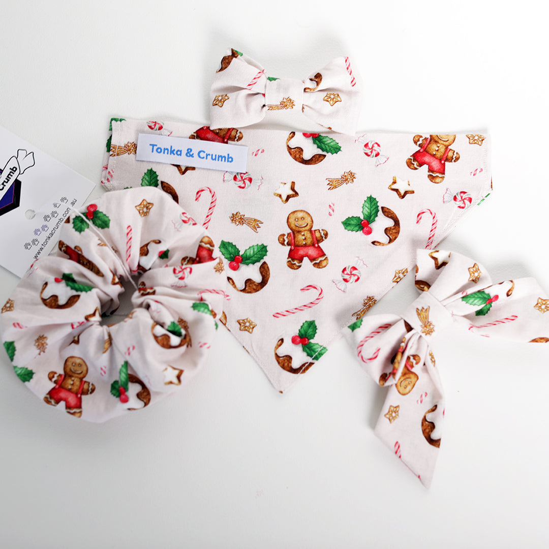 Collection of christmas themed dog accessories