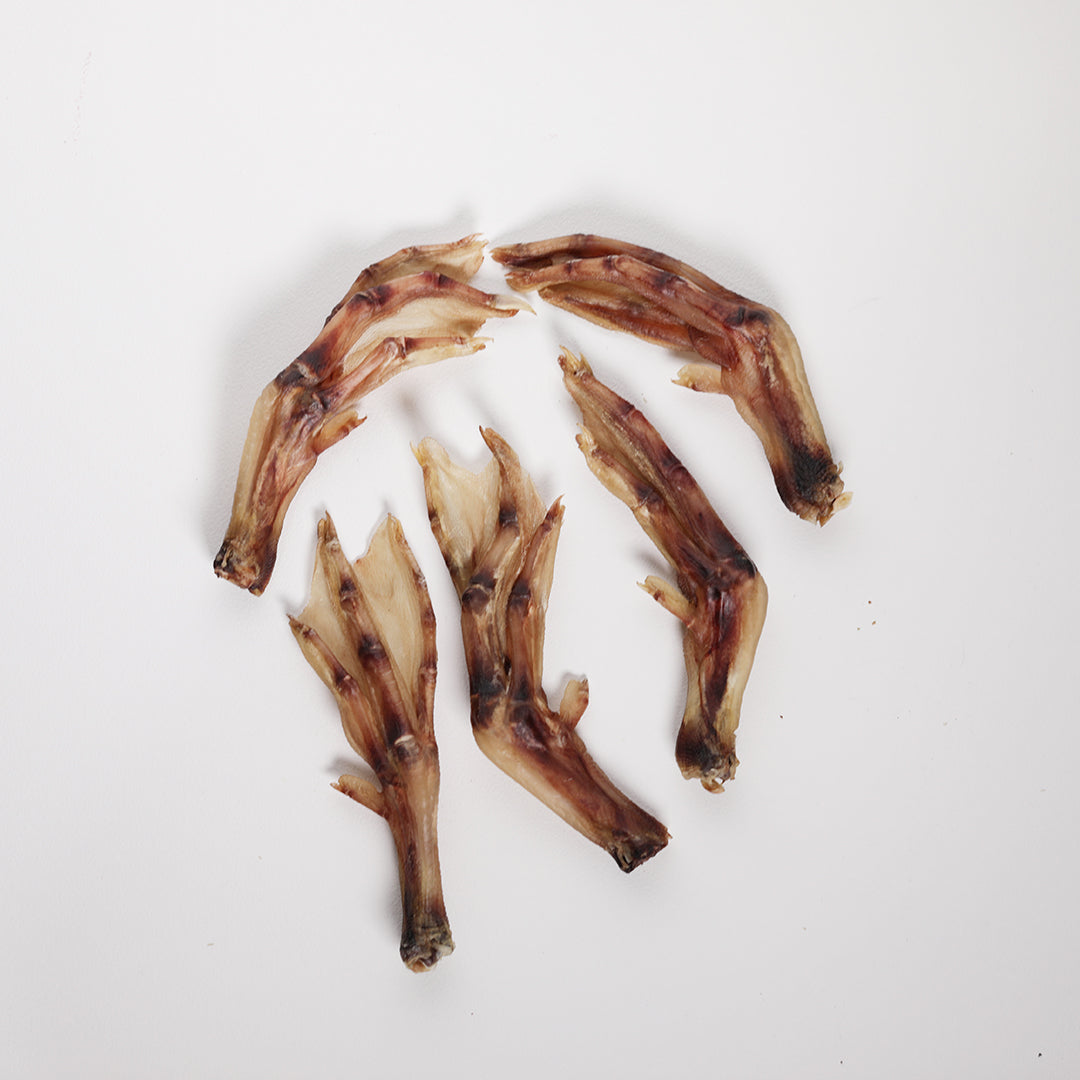 Duck feet for dogs