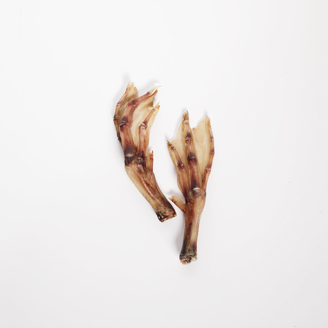 Duck feet dog treats