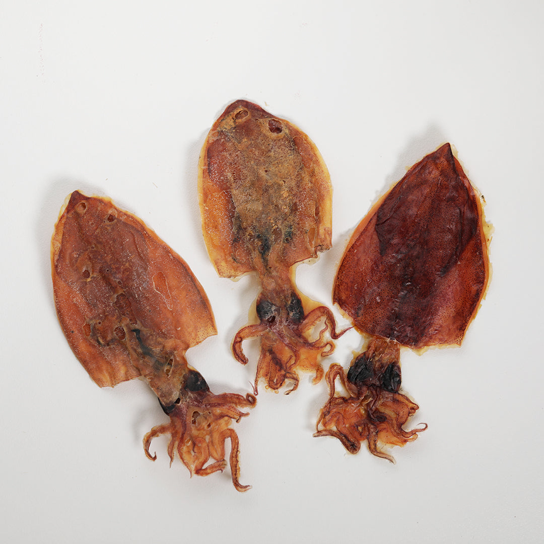 Back side of dried squid